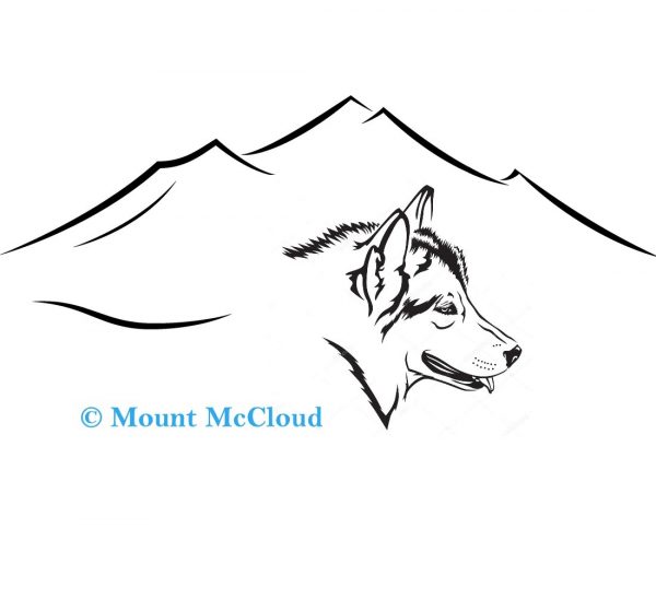 Mount McCloud